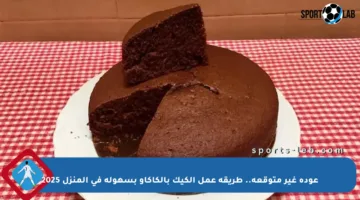 عودة غير متوقعة.. طريقة عمل الكيك بالكاكاو بسهولة في المنزل 2025